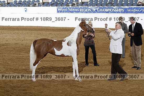 Proof 10r9_3607