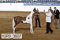10r9_3607 proof