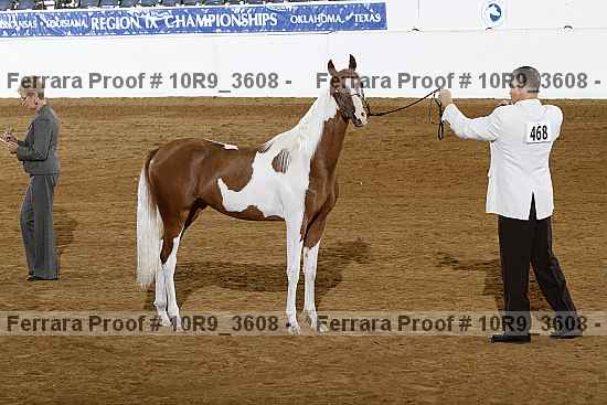 Proof 10r9_3608