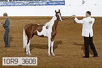 10r9_3608 proof
