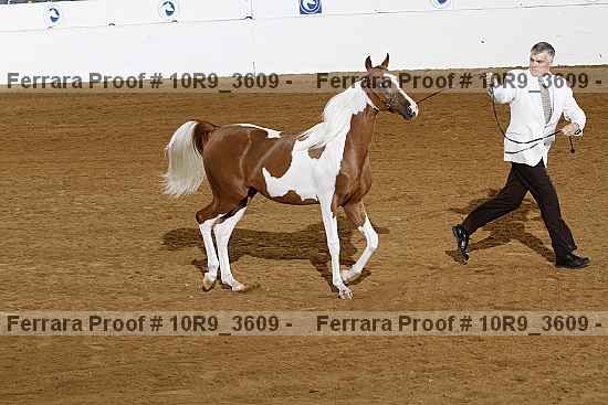 Proof 10r9_3609