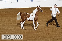 10r9_3609 proof
