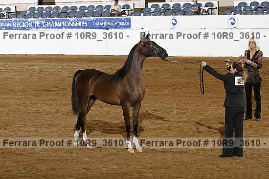 Proof 10r9_3610
