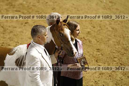 Proof 10r9_3612