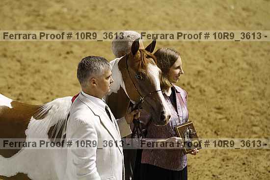 Proof 10r9_3613