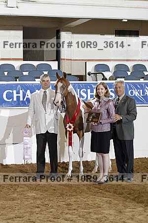 Proof 10r9_3614