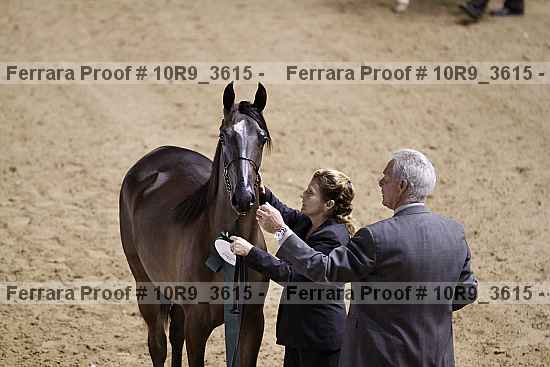 Proof 10r9_3615