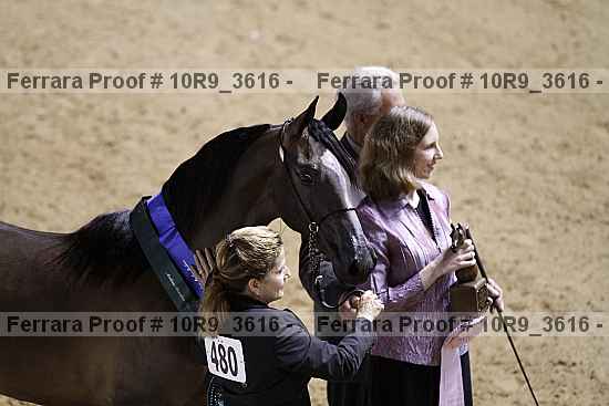 Proof 10r9_3616