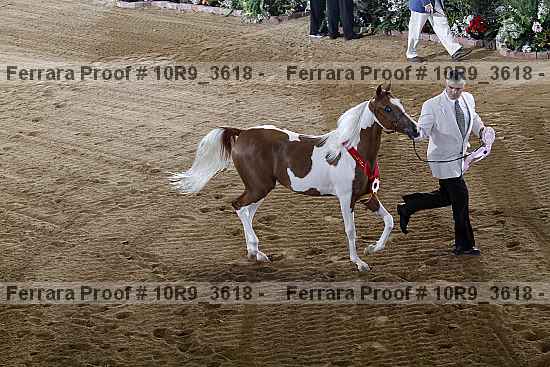 Proof 10r9_3618