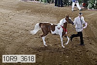 10r9_3618 proof