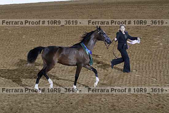 Proof 10r9_3619