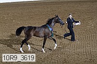 10r9_3619 proof