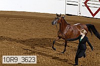 10r9_3623 proof