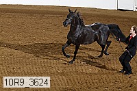 10r9_3624 proof