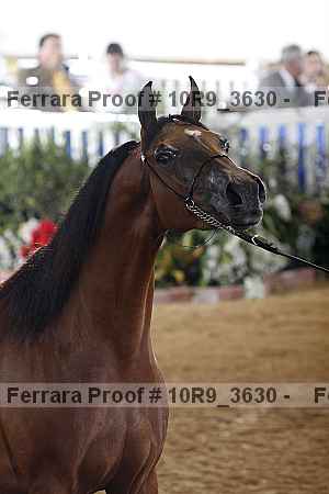 Proof 10r9_3630