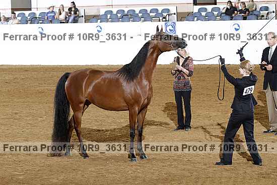 Proof 10r9_3631