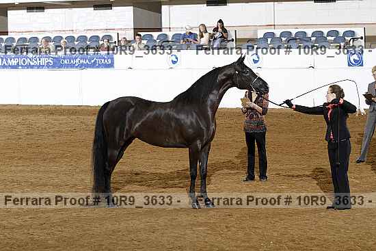 Proof 10r9_3633