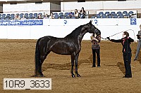 10r9_3633 proof