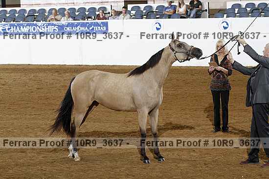 Proof 10r9_3637