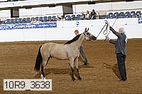 10r9_3638 proof