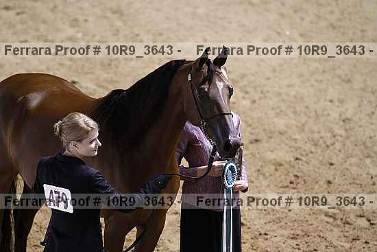 Proof 10r9_3643