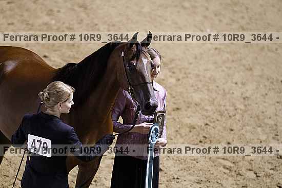 Proof 10r9_3644
