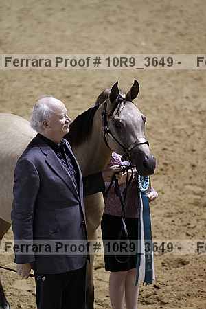 Proof 10r9_3649