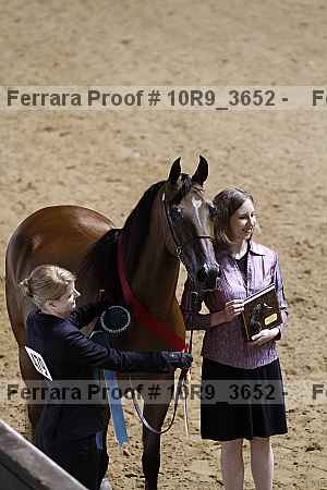 Proof 10r9_3652