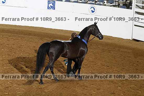 Proof 10r9_3663