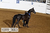 10r9_3663 proof