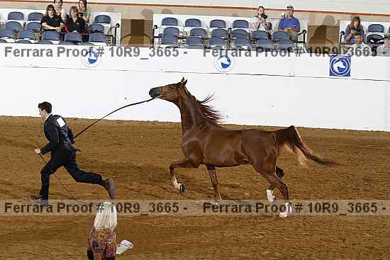 Proof 10r9_3665