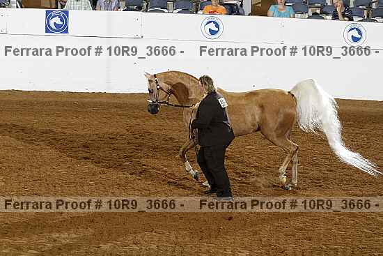 Proof 10r9_3666