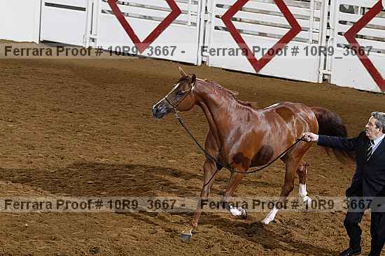 Proof 10r9_3667