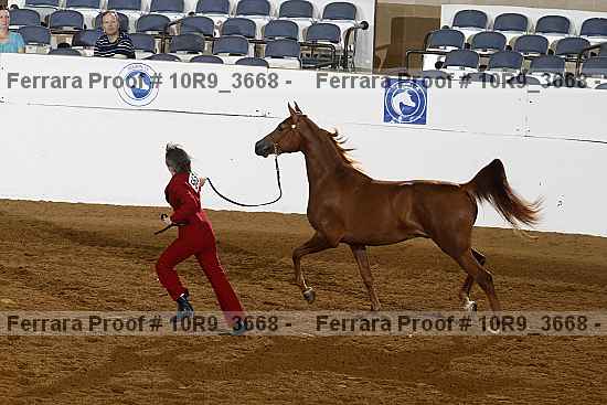 Proof 10r9_3668