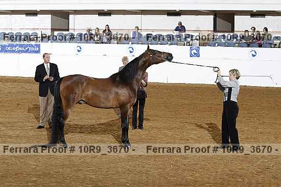 Proof 10r9_3670