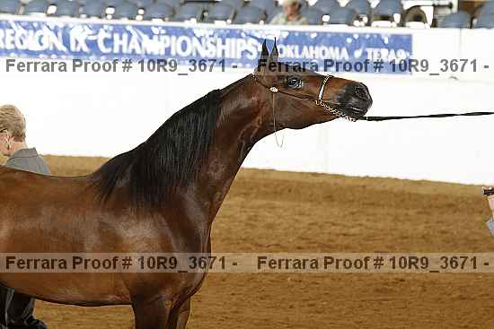 Proof 10r9_3671