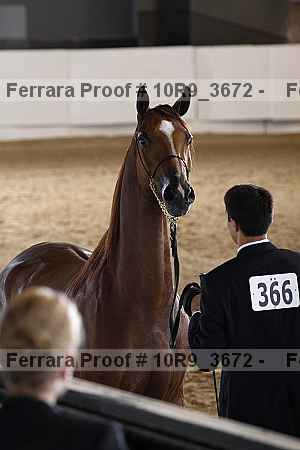 Proof 10r9_3672