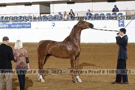 Proof 10r9_3673