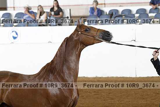 Proof 10r9_3674