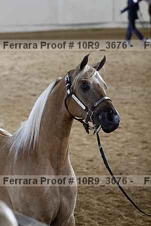 Proof 10r9_3676