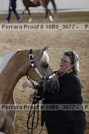 Proof 10r9_3677