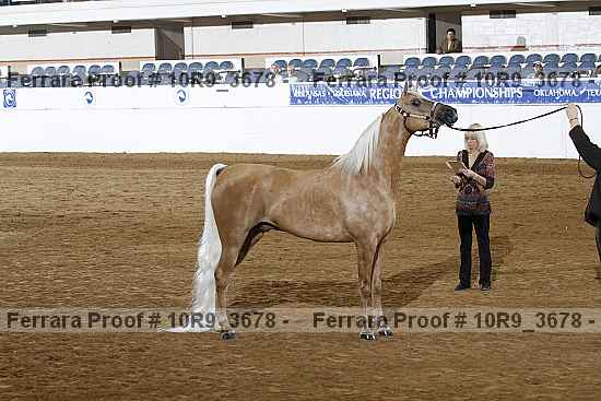Proof 10r9_3678