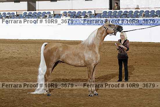 Proof 10r9_3679