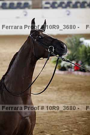 Proof 10r9_3680