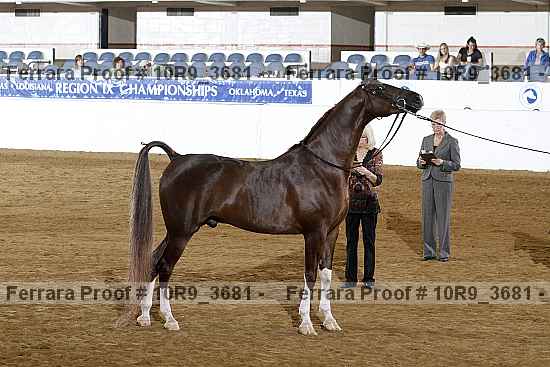 Proof 10r9_3681