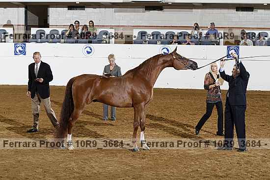 Proof 10r9_3684