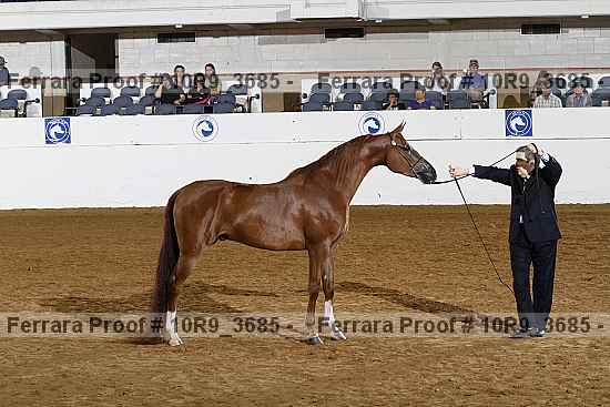 Proof 10r9_3685