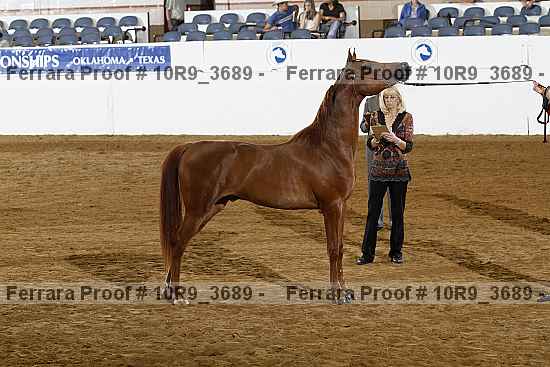Proof 10r9_3689