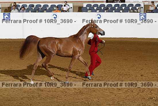 Proof 10r9_3690