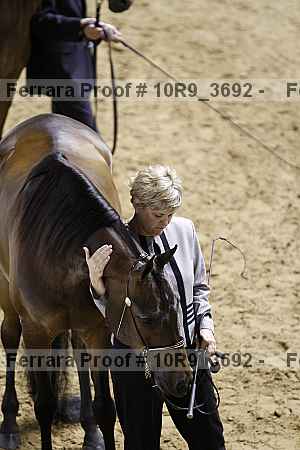 Proof 10r9_3692